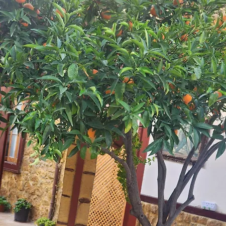 Aksaray Boutique Hotel *