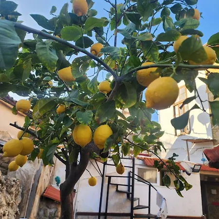 Hotel Aksaray Boutique *