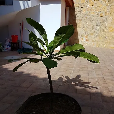 Aksaray Boutique * Nicosia