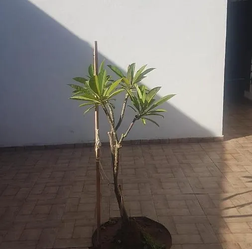 Aksaray Boutique * Nikozja