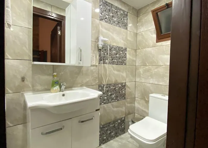 酒店 Aksaray Boutique 尼科西亚