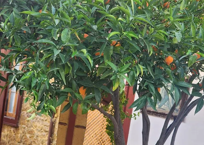 Aksaray Boutique 酒店 *