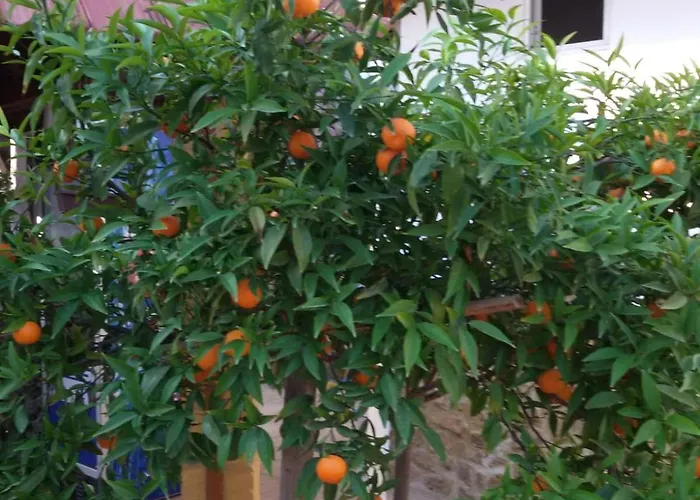 Aksaray Boutique * Nikozja