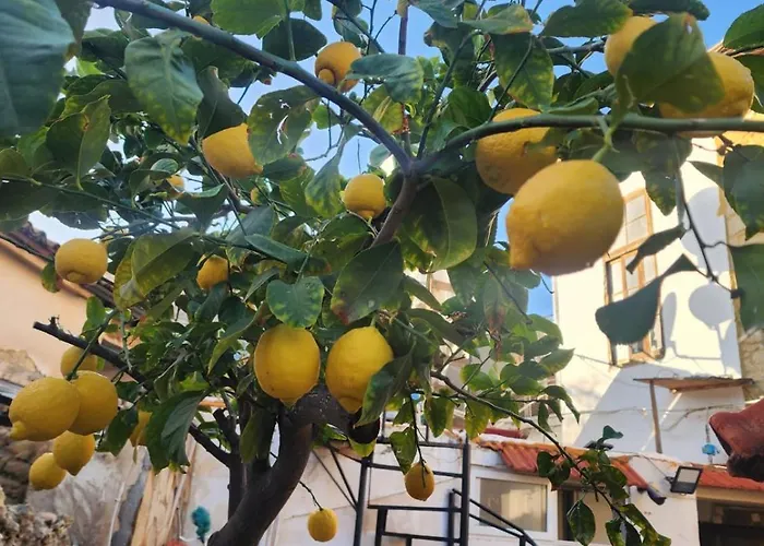 酒店 Aksaray Boutique *