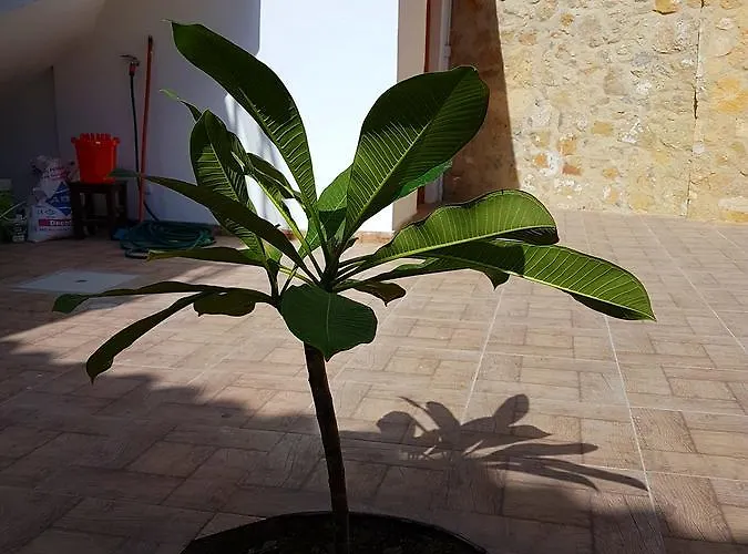 Aksaray Boutique * Nikozja