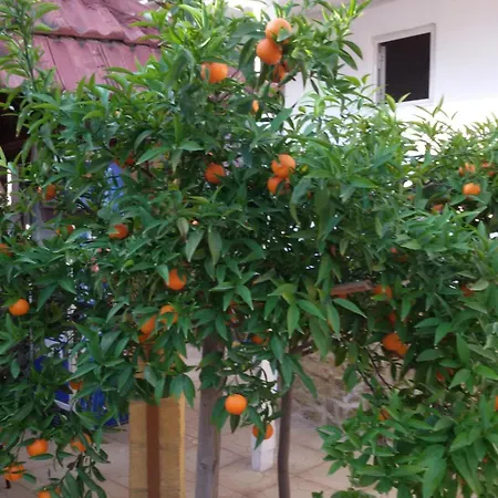 Aksaray Boutique * Никосия